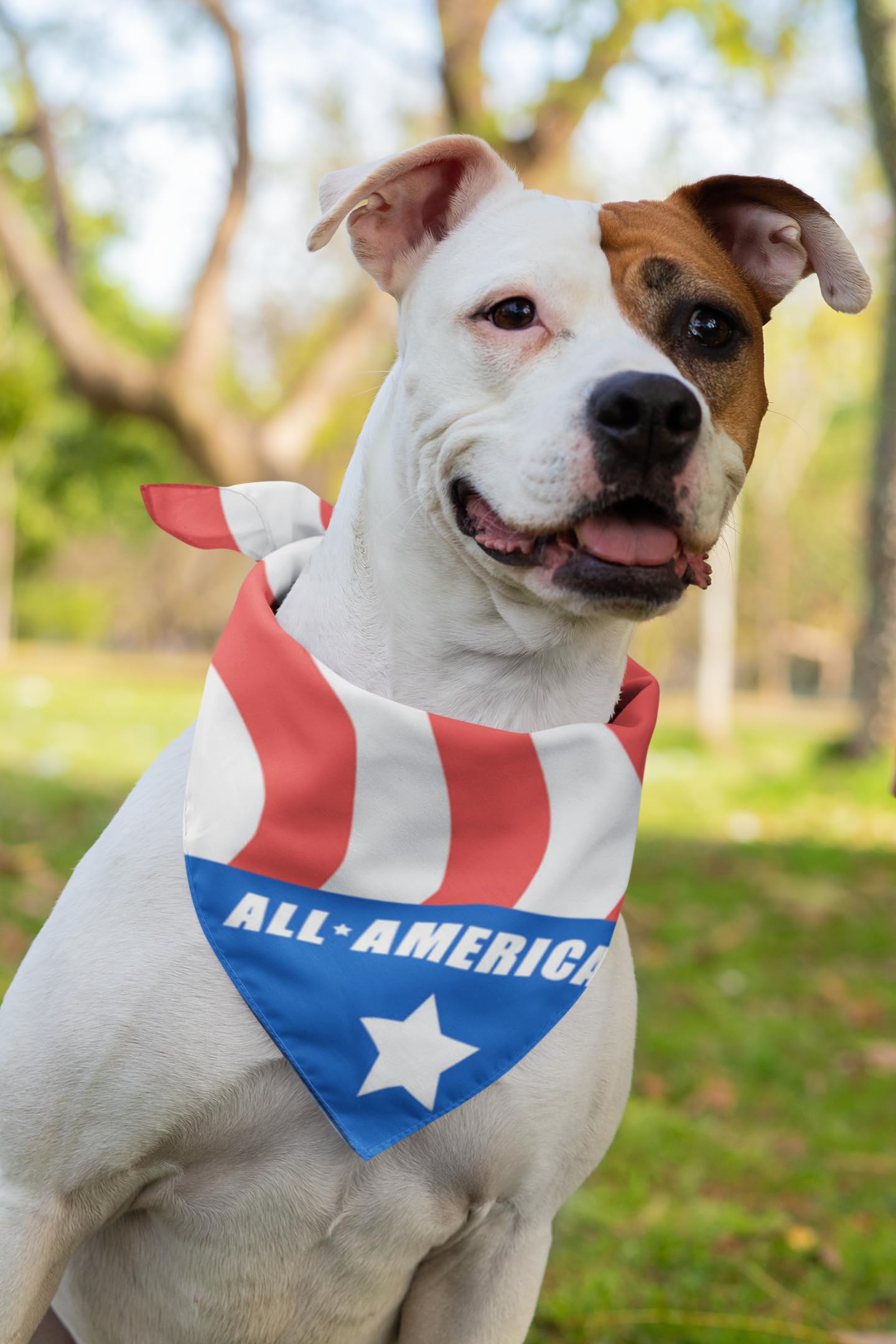 Stonehouse Collection USA Flag Dog Bandana, American Flag Pet Scarf for Medium to Large Dogs, Patriotic All-American Dog Accessory, Soft, Washable Polyester - Image 3